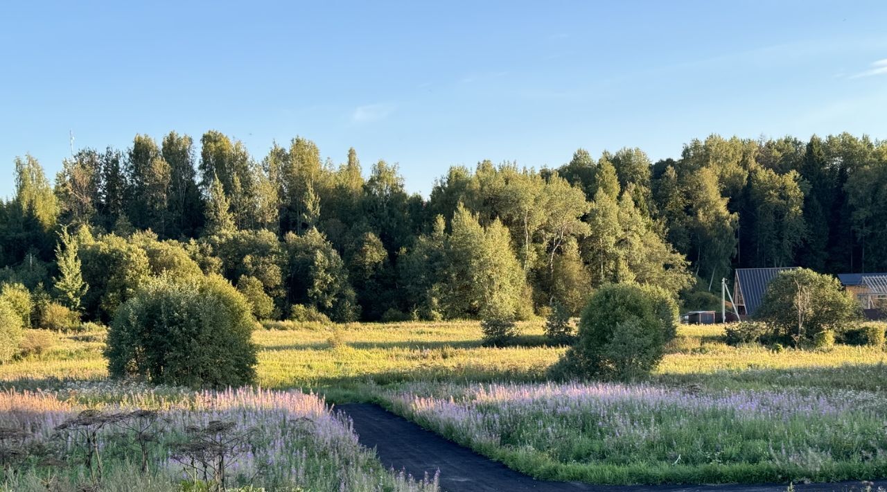 земля городской округ Дмитровский Форест Клаб кп, 12 фото 18