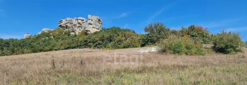 земля р-н Бахчисарайский с Красный Мак фото 3