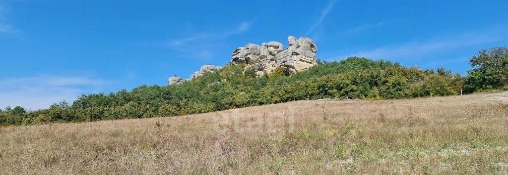 земля р-н Бахчисарайский с Красный Мак фото 10