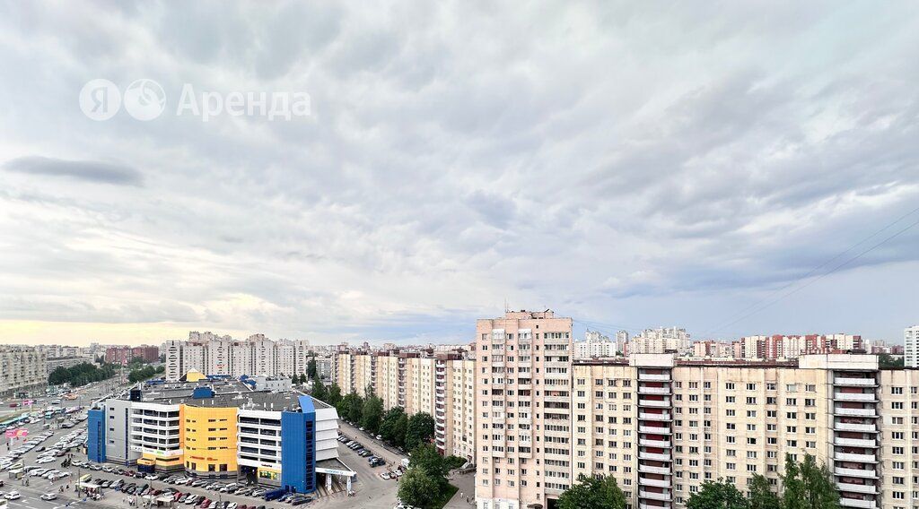 квартира г Санкт-Петербург метро Проспект Просвещения пр-кт Просвещения 15 фото 12