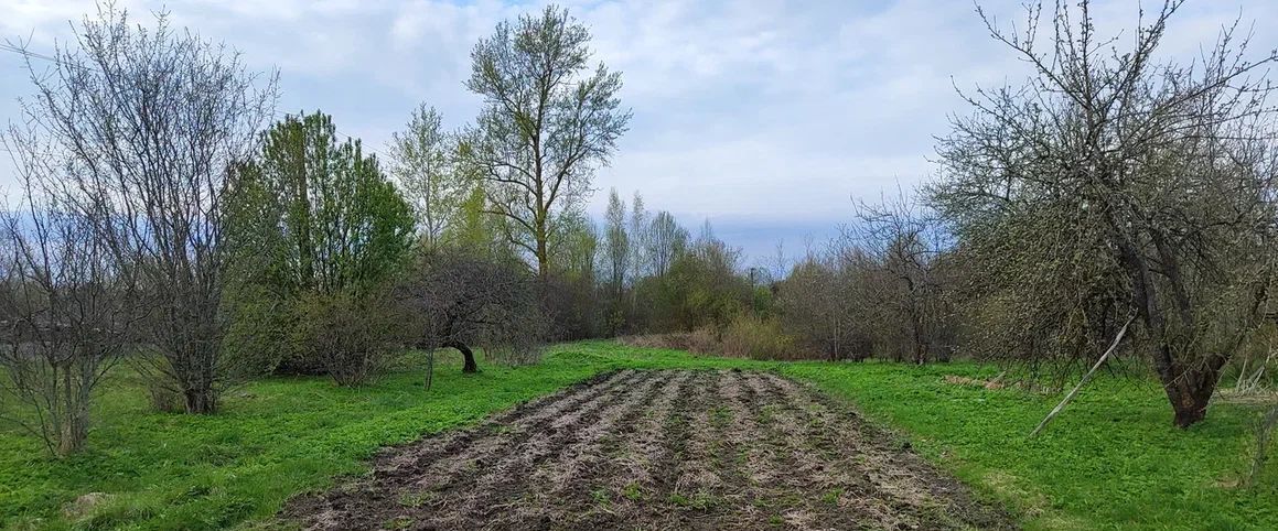 дом р-н Красногородский д Иванцево фото 16