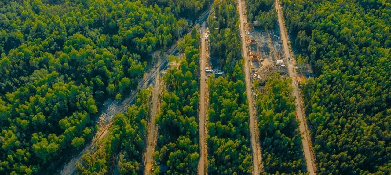 земля р-н Всеволожский Токсовское городское поселение, Экофорест кп фото 5