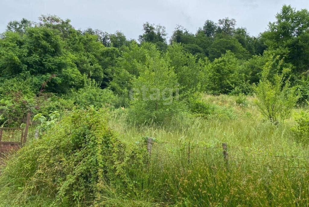 земля г Сочи с Русская Мамайка р-н Центральный внутригородской фото 2