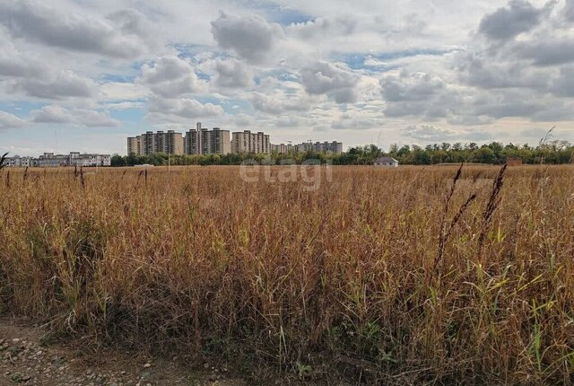 земля снт Российский фото