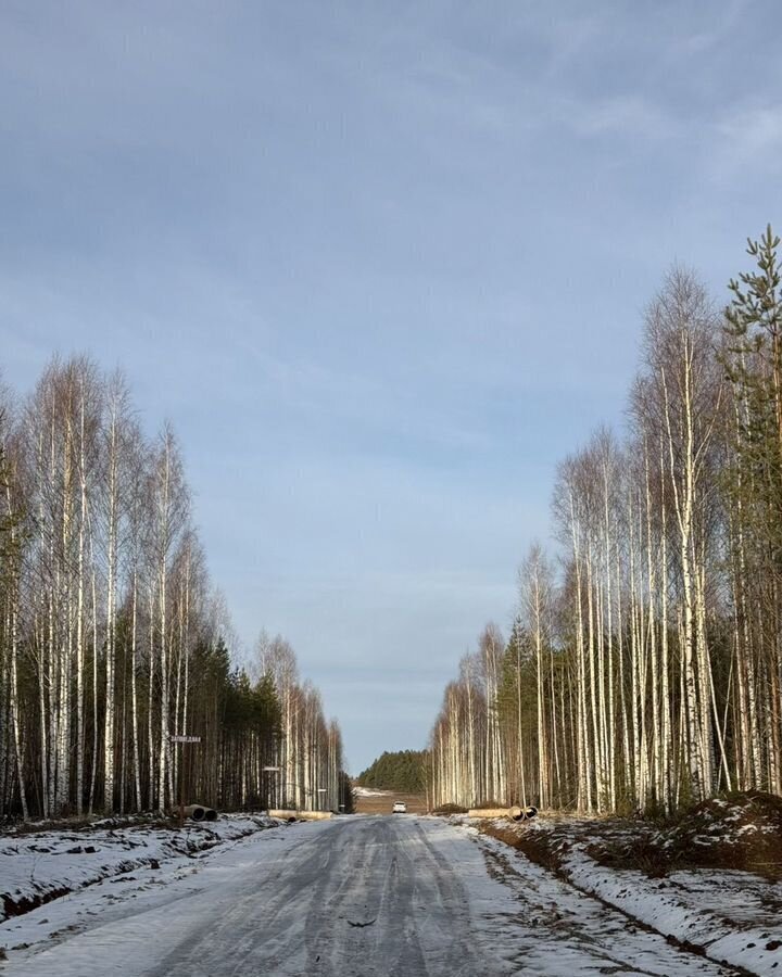 земля р-н Воткинский п Новый СНТ Камадача фото 5