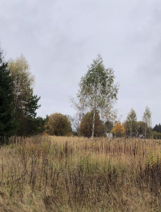 офис городской округ Можайский д Денисьево фото 1