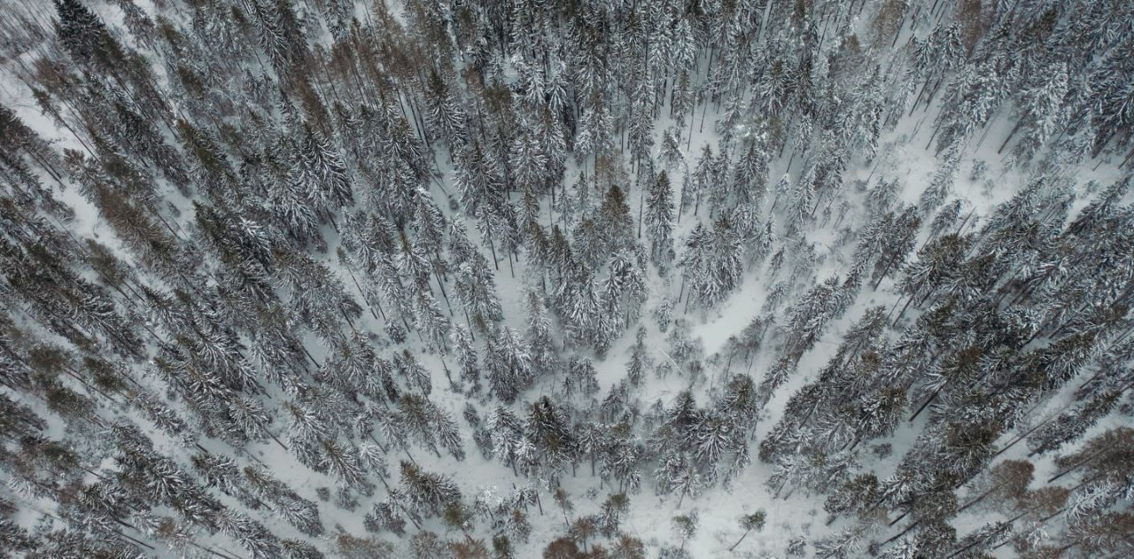 земля р-н Выборгский п Первомайское пос, Сабур-3 СНТ, 24 фото 14