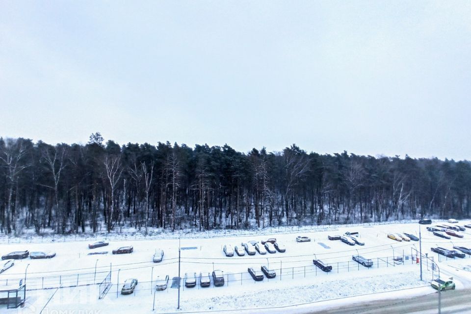 квартира городской округ Ленинский д Боброво ул Лесная 16 ЖК Восточное Бутово фото 10