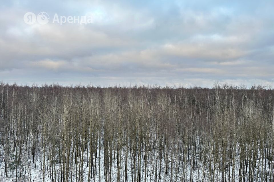 квартира г Санкт-Петербург ул Пейзажная ЖК «Цветной город» Красногвардейский, 24 к 1 ст 1 фото 9