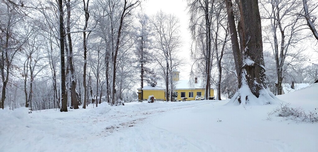 гостиницу р-н Лужский д Мерево ул Школьная д. 15 фото 14