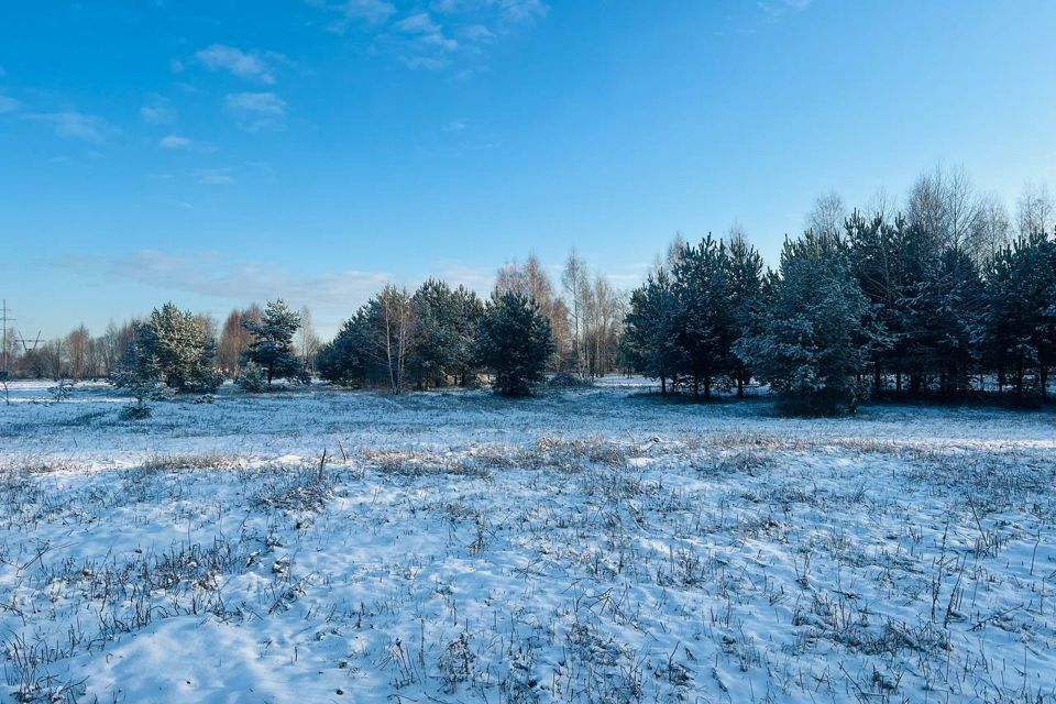 земля городской округ Подольск д. Пузиково фото 5