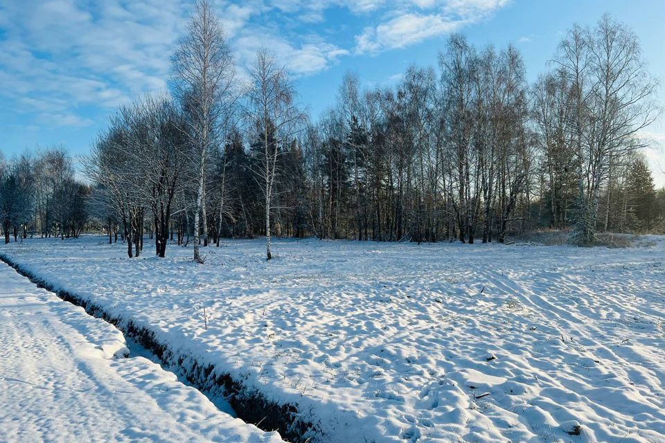 земля городской округ Подольск д. Пузиково фото 9