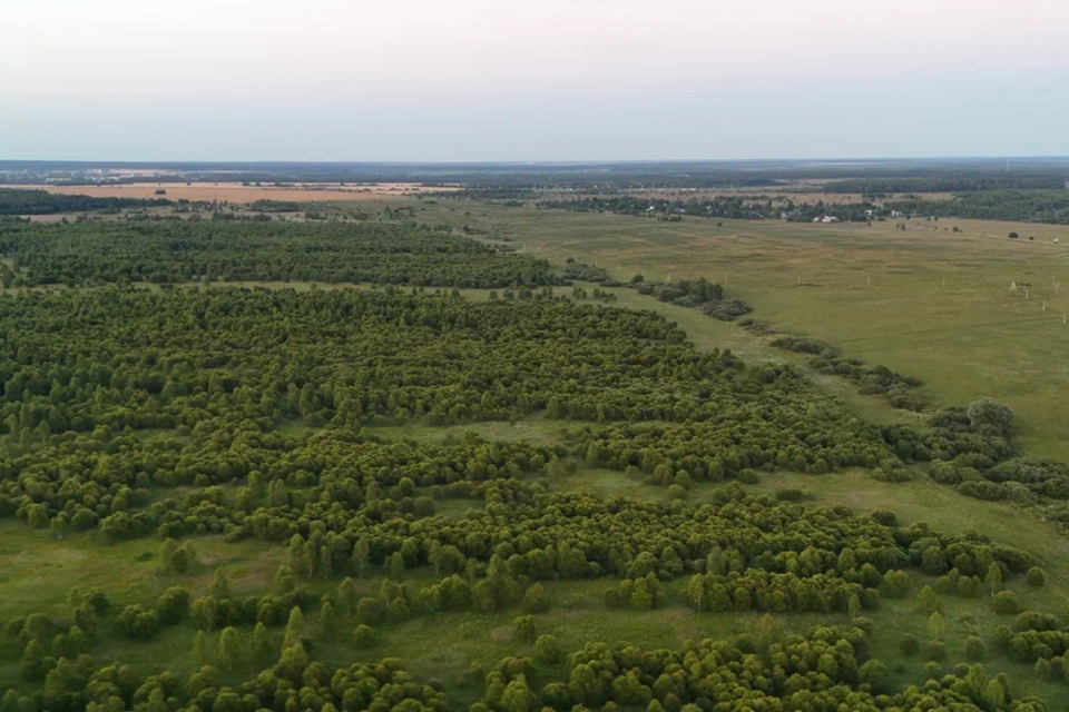 земля городской округ Ступино д. Байдиково фото 8