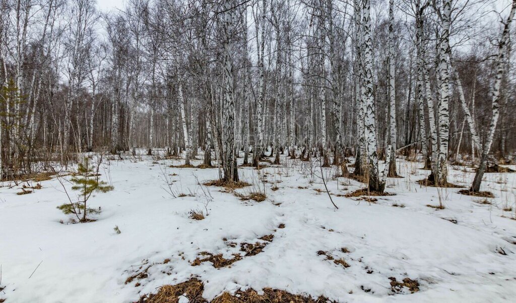 земля г Тюмень ул Рублевская 57к/23 фото 1