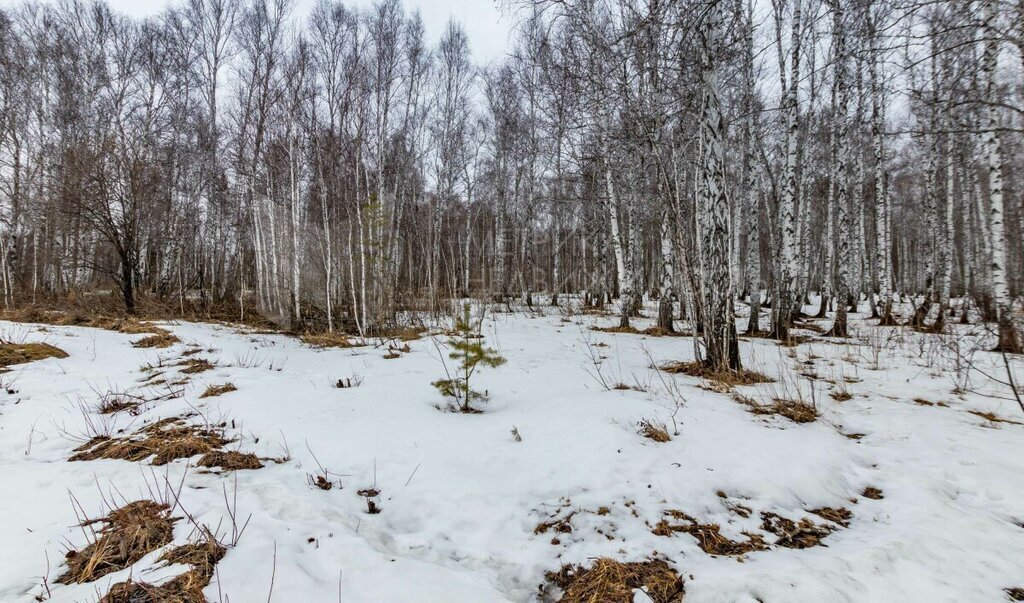 земля г Тюмень ул Рублевская 57к/23 фото 12