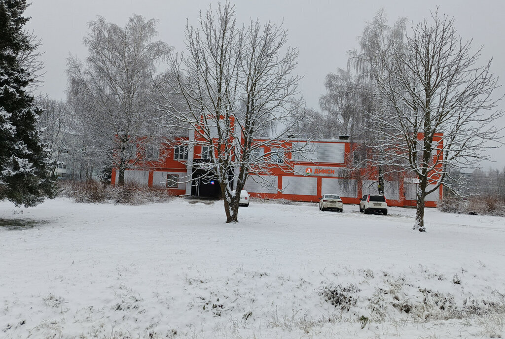 квартира городской округ Шатура п Мещёрский Бор 1 фото 28