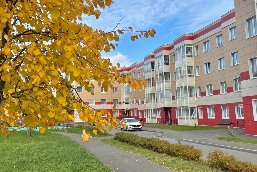 квартира городской посёлок Янино-1, Ладожская, Голландская улица, 15к 3 фото 17