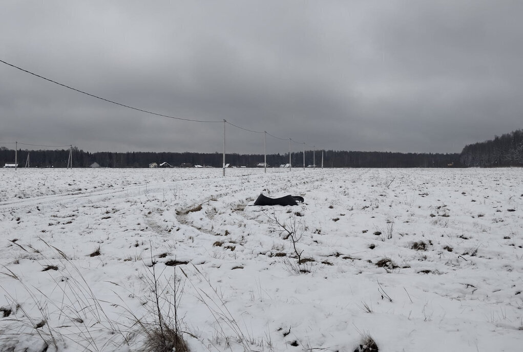 земля г Раменское снт Раменье Дмитровский городской округ фото 3