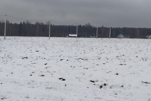 снт Раменье Дмитровский городской округ фото