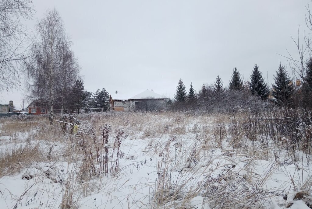 дом р-н Богородский д Высоково ул Пригородная 246 фото 11