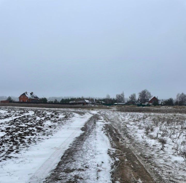 земля городской округ Зарайск ул. Весенняя фото 1