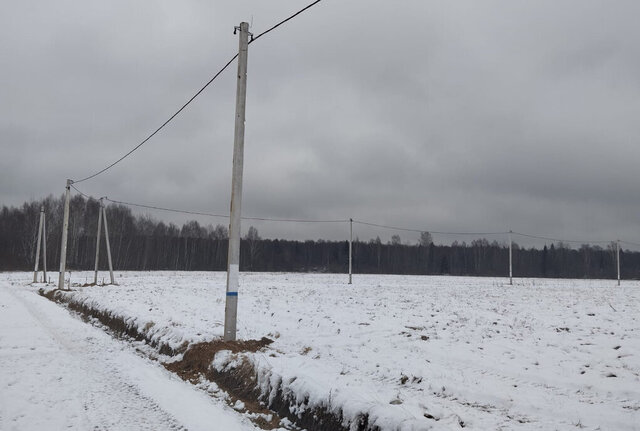 снт Раменье Дмитровский городской округ фото