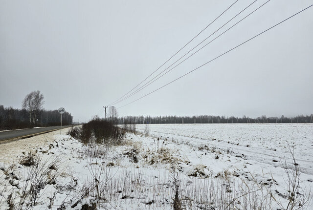 снт Раменье Дмитровский городской округ фото