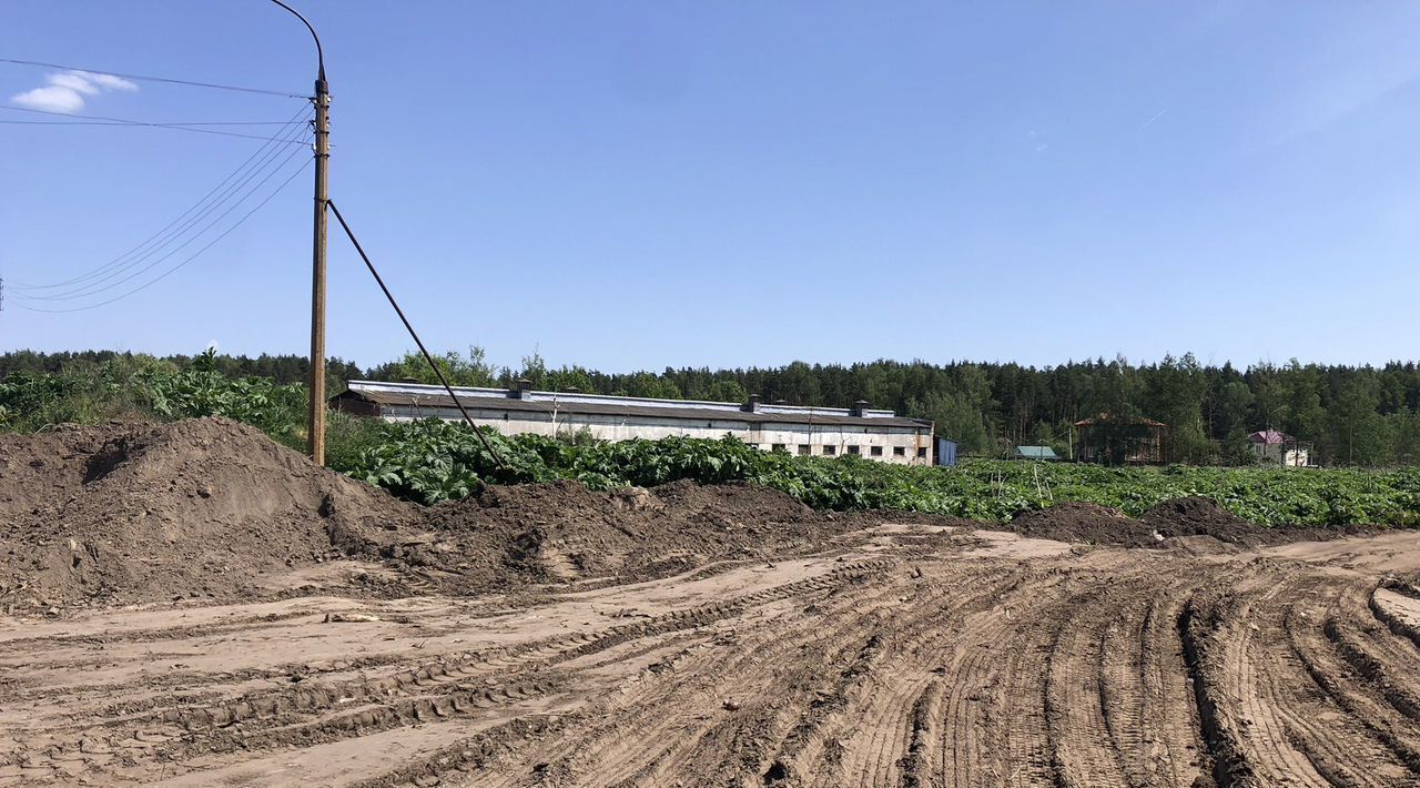 офис городской округ Богородский п Елизаветино ул Фермерская Электросталь городской округ фото 6