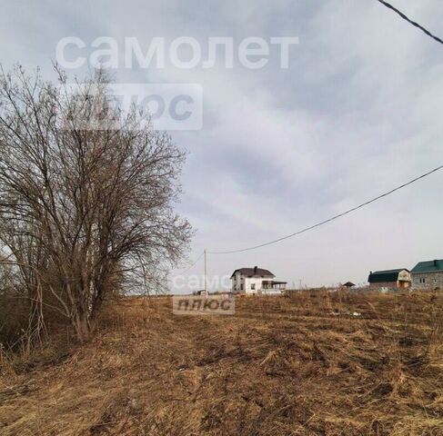 земля г Кострома пл Сусанинская фото