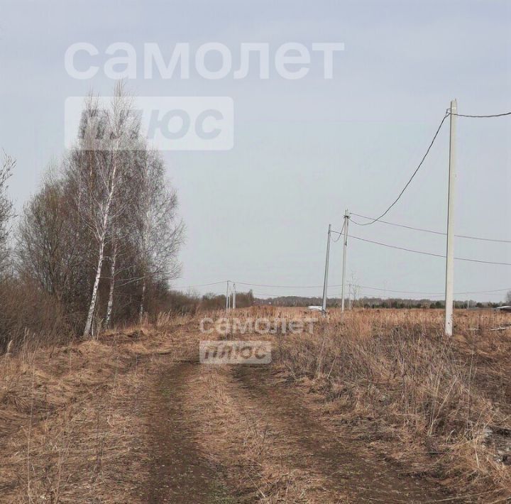 земля г Кострома пл Сусанинская фото 4