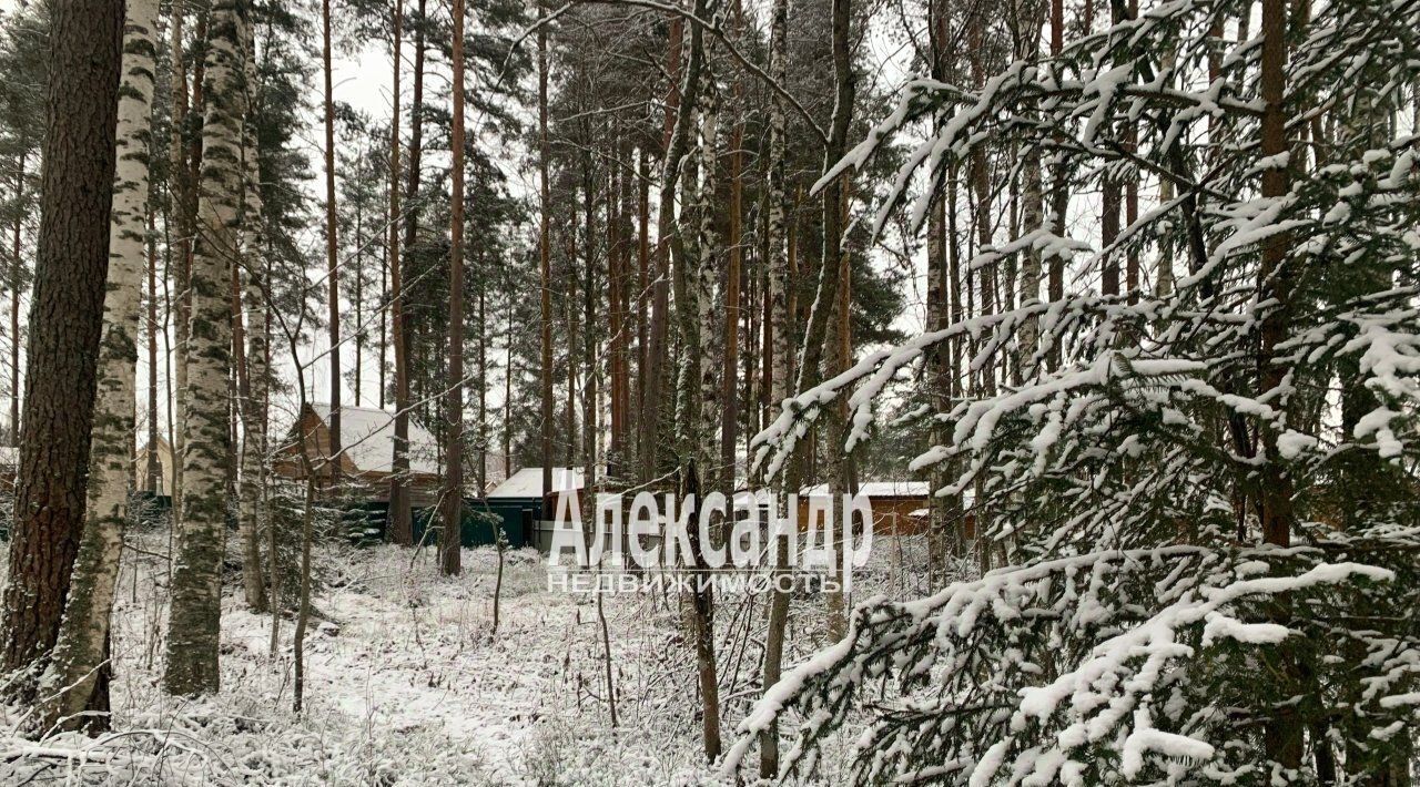 земля р-н Приозерский дп Массив Речное снт Речное Ромашкинское с/пос фото 2