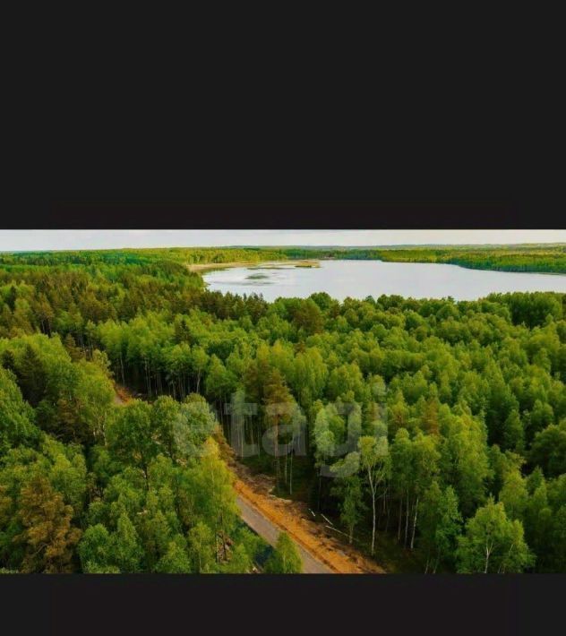 земля р-н Всеволожский Токсовское городское поселение, Экофорест кп, 260 фото 3