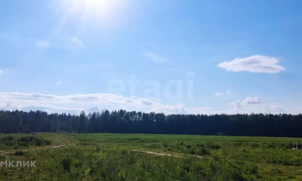 земля городской округ Пушкинский СНТ Мираж фото 3