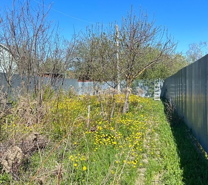 земля городской округ Раменский д. Патрикеево фото 4