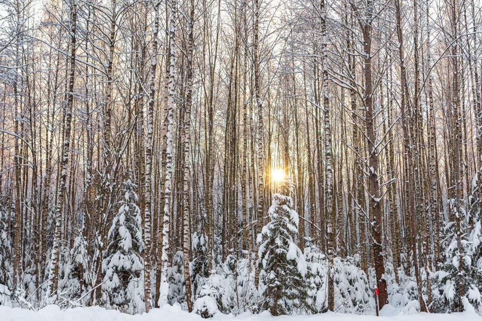 земля городской округ Ступино Уайт Парк фото 1