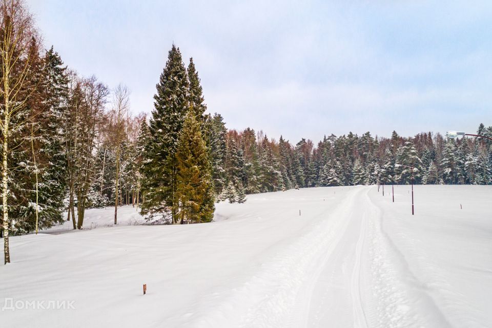 земля городской округ Ступино Коттеджный посёлок Green Forest Park, Москва фото 2