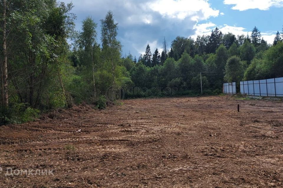 земля городской округ Истра СНТ Возрождение фото 2