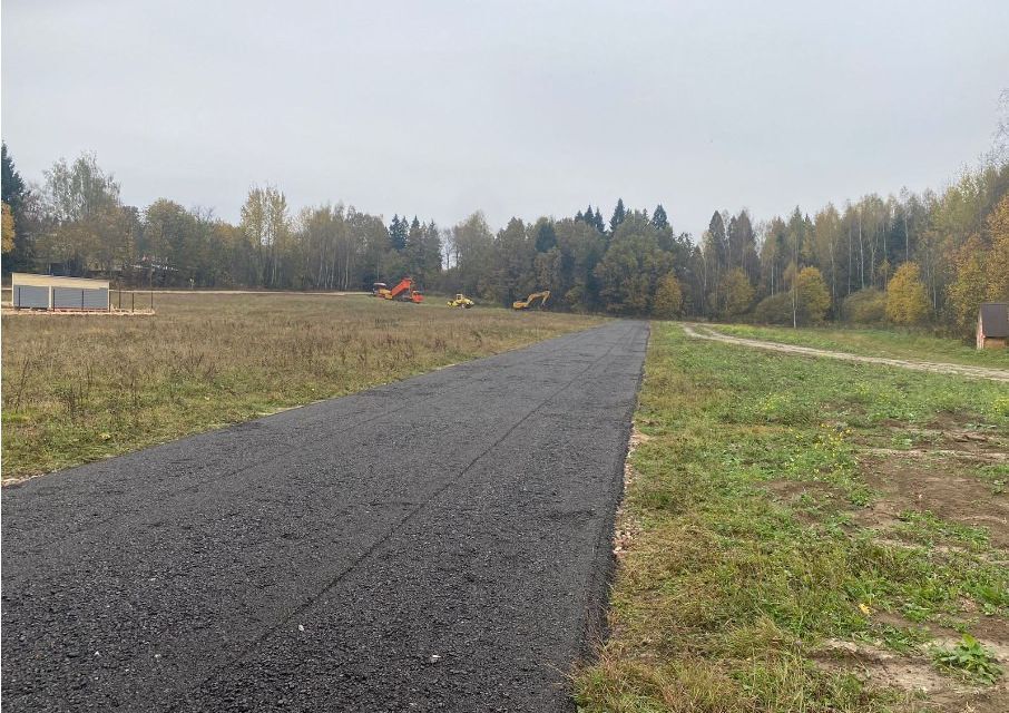 земля городской округ Пушкинский д. Василёво фото 2