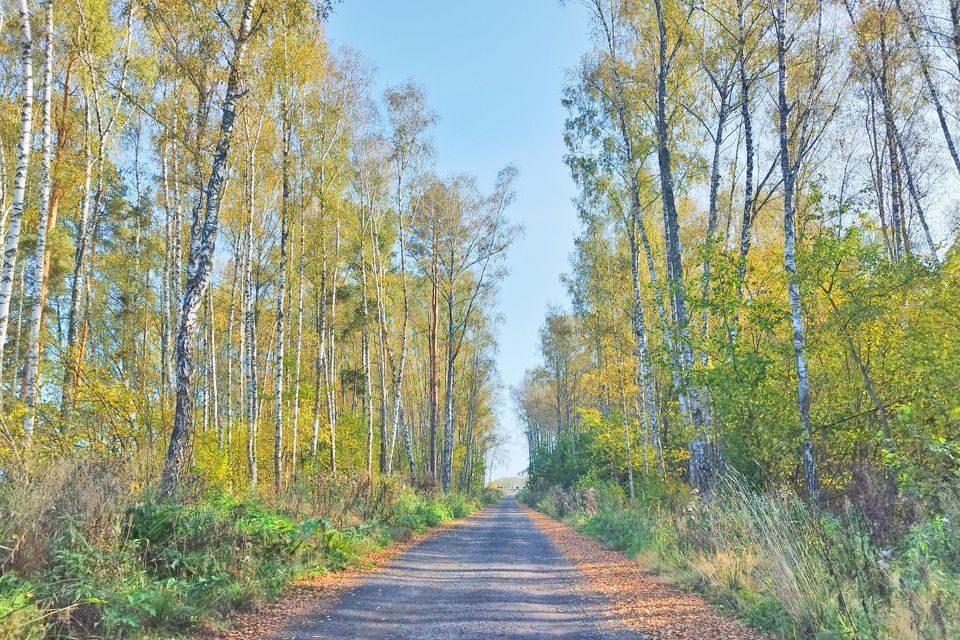 земля г Щёлково снт Южный парк, 208, Домодедово городской округ фото 2