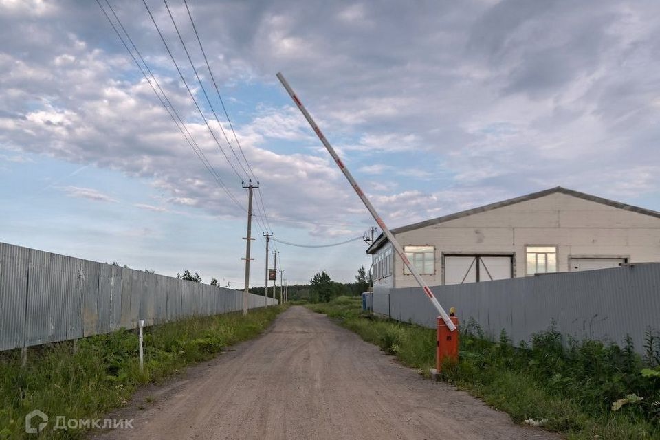 земля р-н Всеволожский Росток-Соржа фото 3