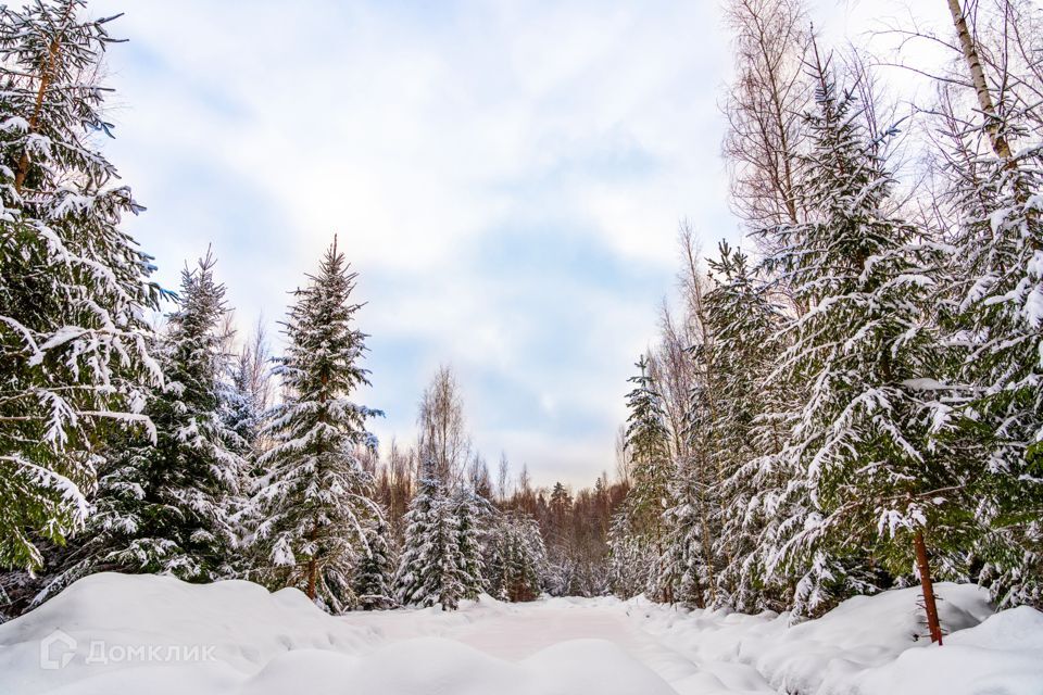 земля городской округ Ступино д Шелково Коттеджный посёлок Shelkovo Forest фото 7