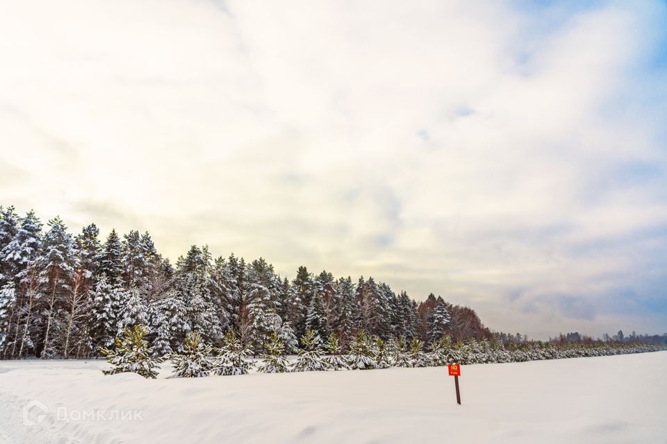 земля городской округ Ступино с Семёновское Коттеджный посёлок Shelkovo River фото 8