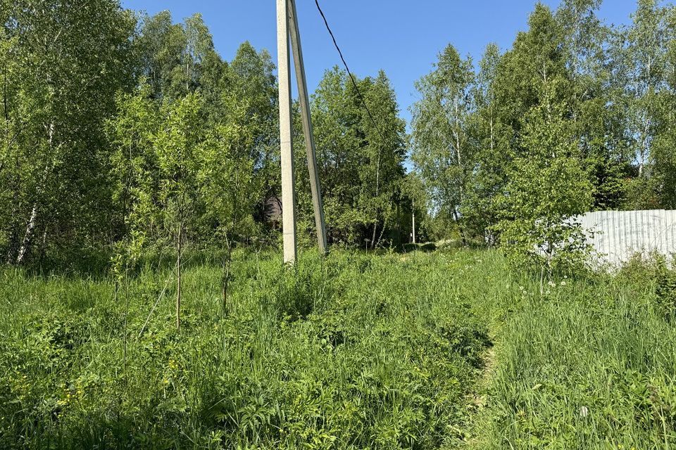 земля городской округ Чехов д. Новгородово фото 7