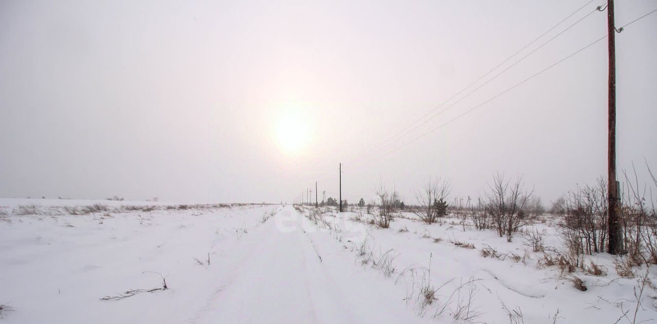 земля г Барнаул п Бельмесево ул Плодородная фото 5