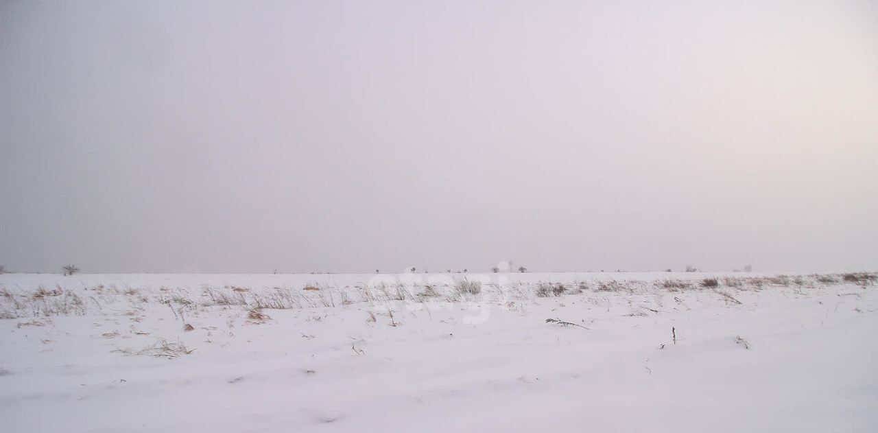 земля г Барнаул п Бельмесево ул Плодородная фото 9