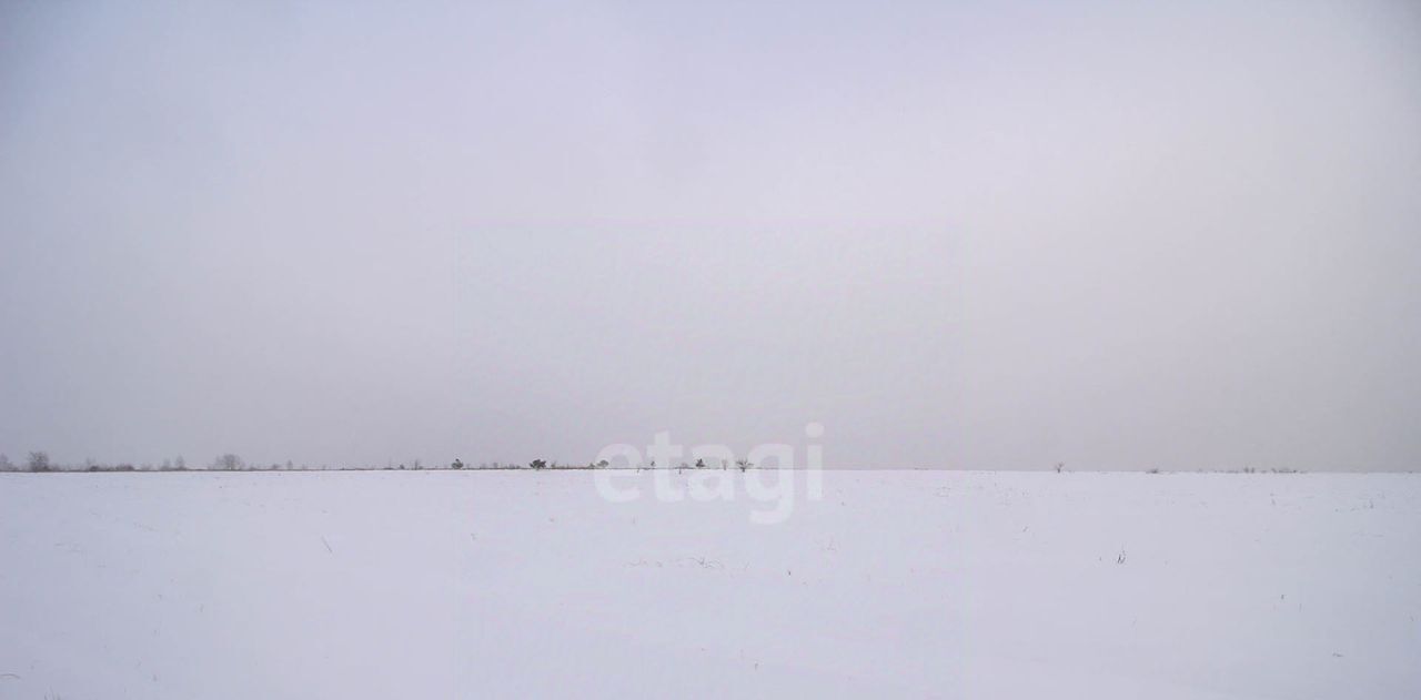 земля г Барнаул п Бельмесево ул Плодородная фото 18