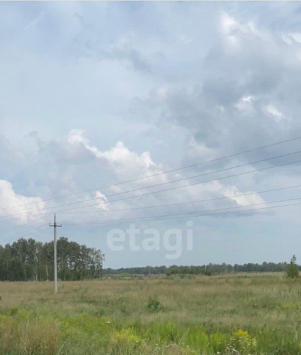 земля г Барнаул п Бельмесево ул Плодородная фото 23