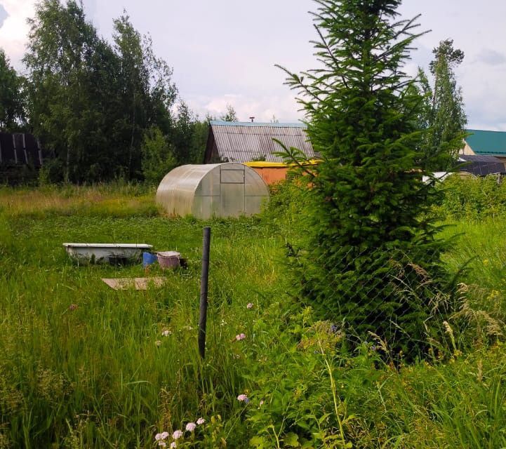 земля Сыктывкар городской округ, территория Эжвинский, Эжвинский снт Кедр фото 2