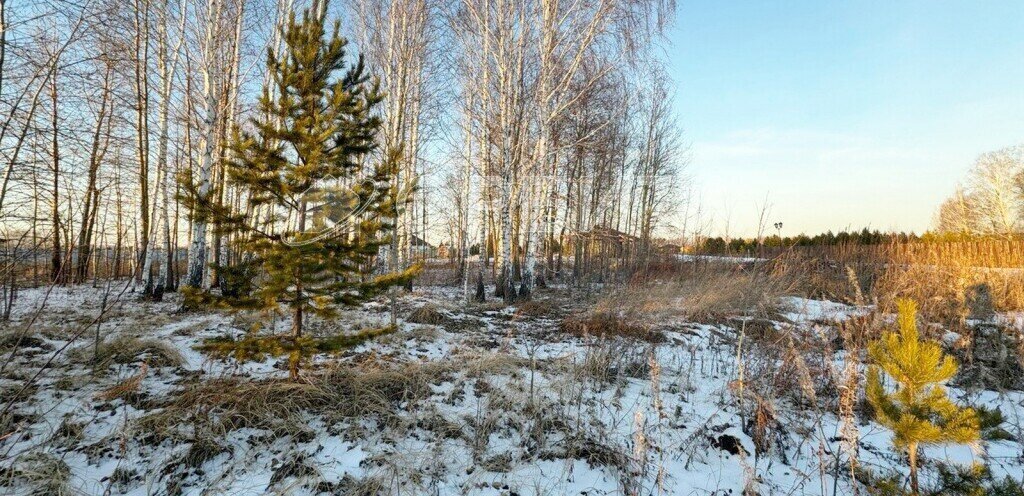 земля р-н Тюменский коттеджный посёлок Новокаменский фото 3