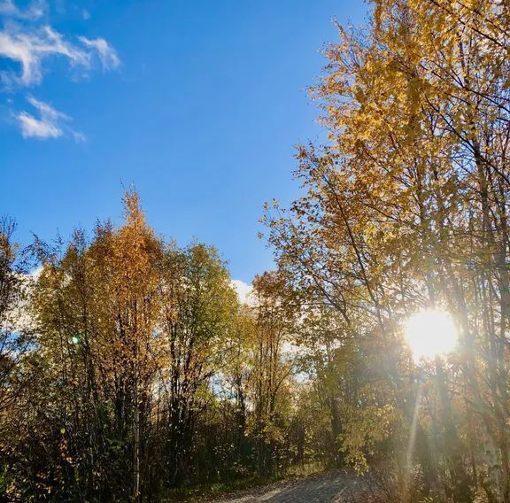 квартира р-н Кольский пгт Верхнетуломский ул Падунская 4 фото 3